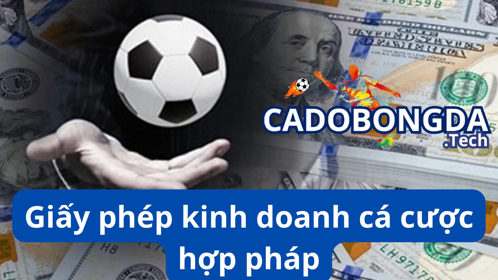 Trang web cá độ bóng đá uy tín có giấy phép hoạt động hợp pháp